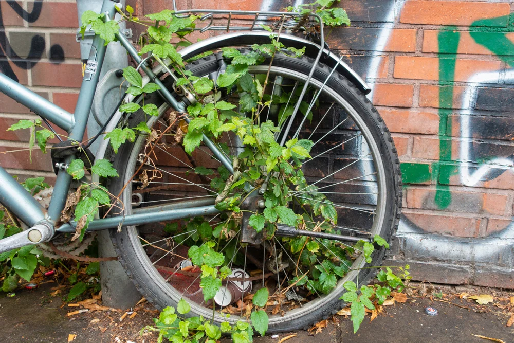 Fahrrad - lange nicht benutzt