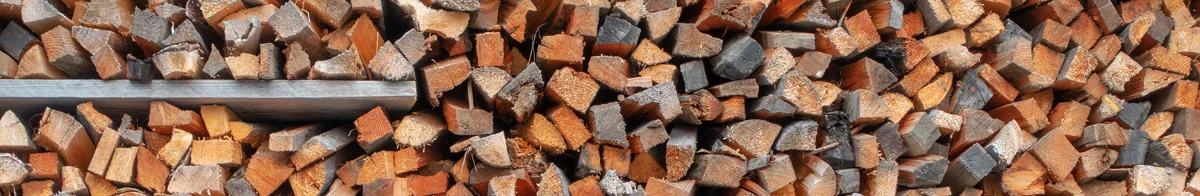 Compacted wood segments